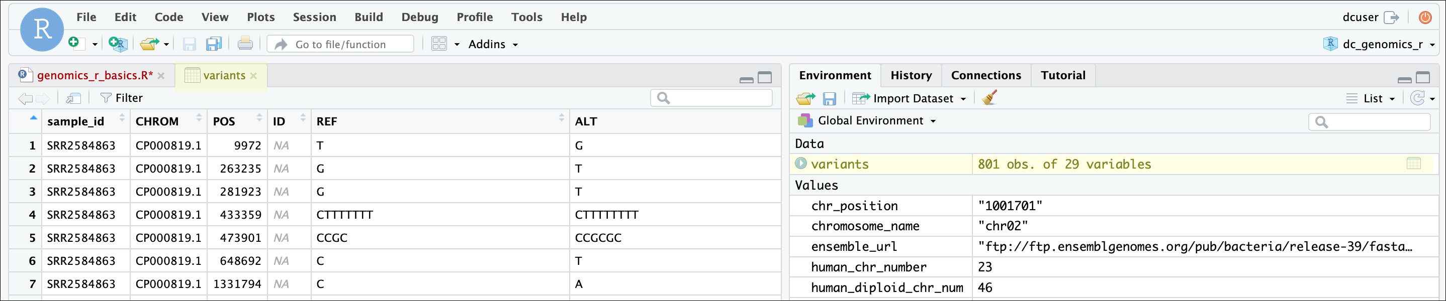 RStudio data frame view