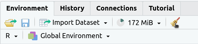 Screenshot showing the Environment tab with the cursor hovering over the broom icon