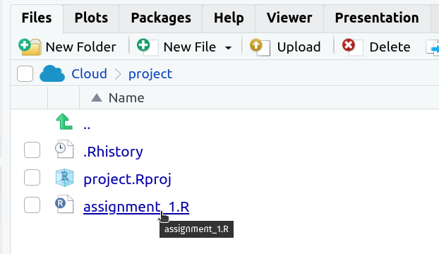 Screenshot showing the Files tab with the cursor hovering over the assignment file